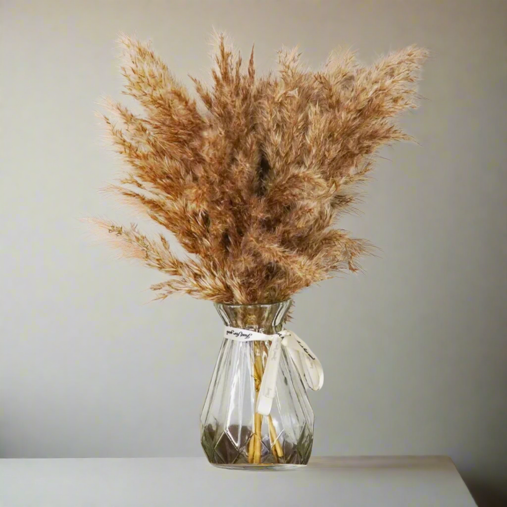 Brown Natural Pampas Grass Bunch | Camden & Co