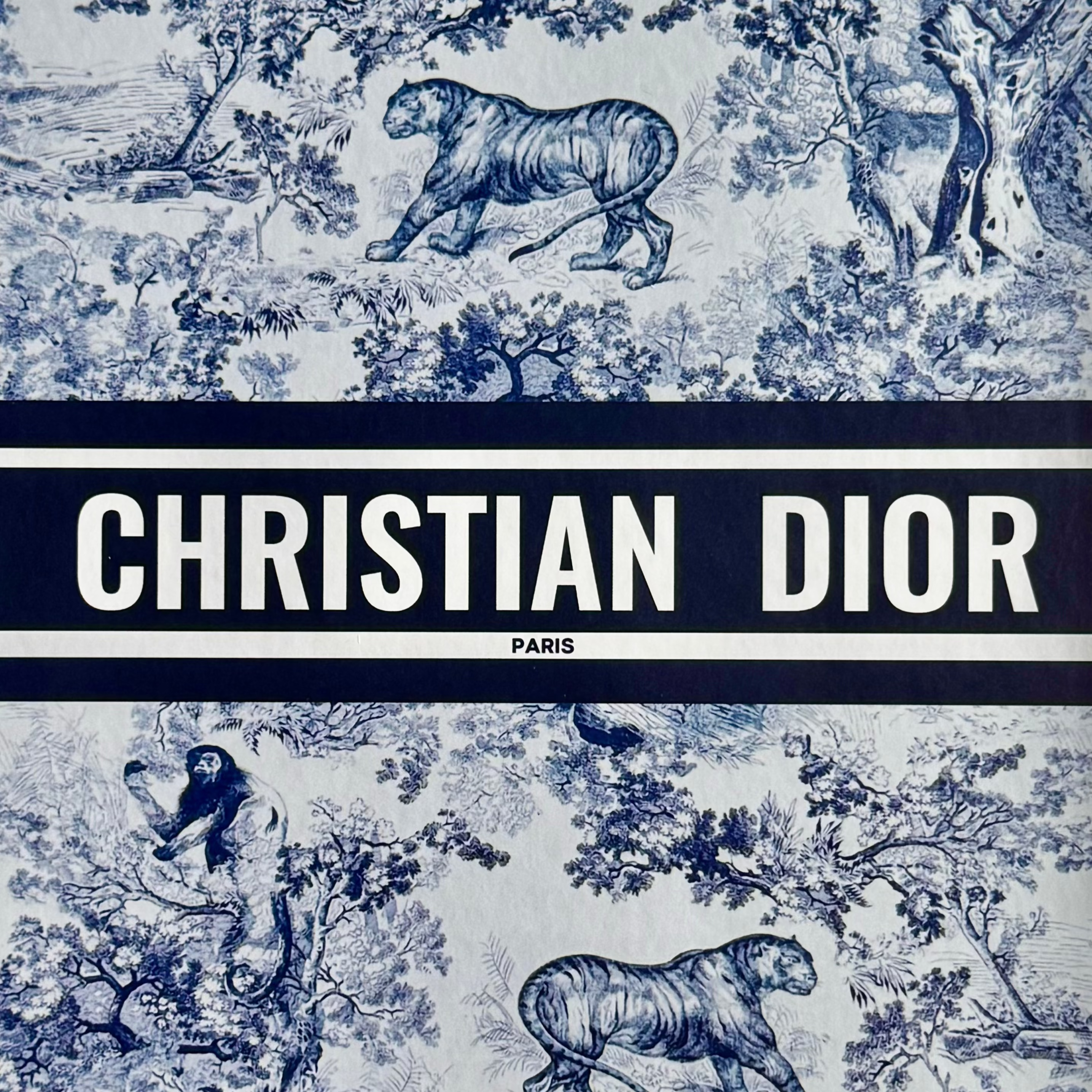 christian dior wallpaper blue