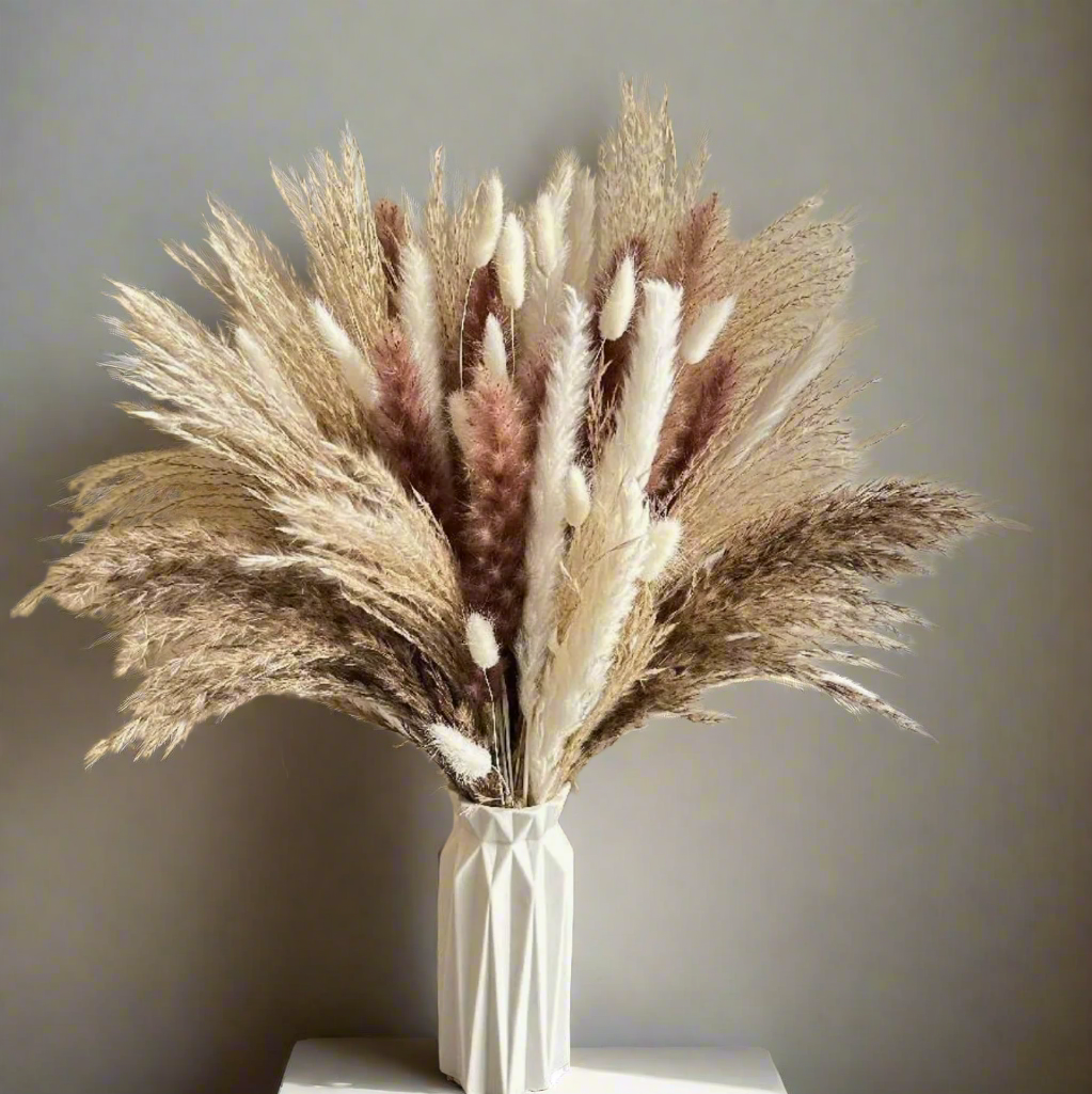 36 PCS Natural Dried Pampas Grass Bunch - White & Brown Reed Grass For Home Decor, Weddings - View #3